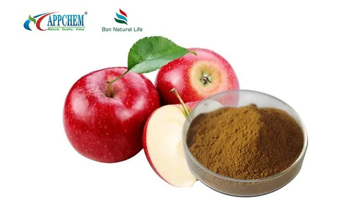 Apple polyphenols Apple polyphenols