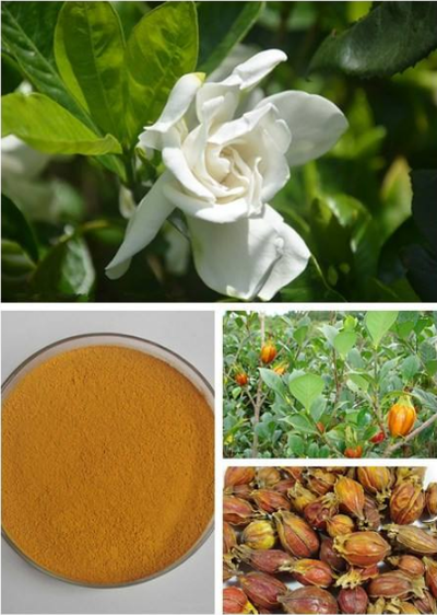 product-404-568 product-404-568