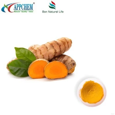 Curcumin Powder HPLC95%; Curcuminoides; Extracto de cúrcuma