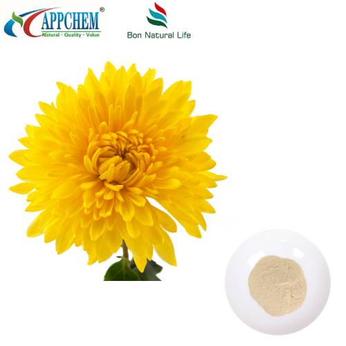 Extracto de flor de crisantemo
