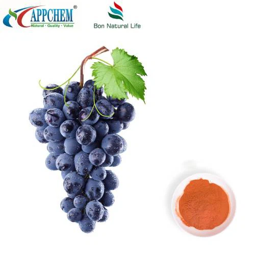 Extracto de semilla de uva en polvo 95 polifenoles