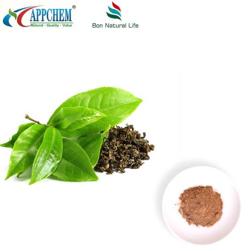 Té Verde 95 Polifenoles En Polvo