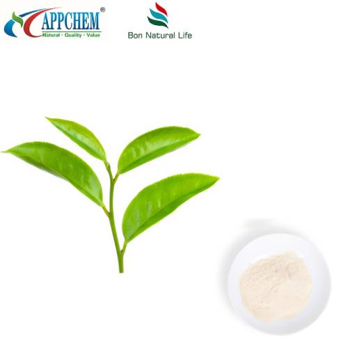 Extracto de té verde L-teanina