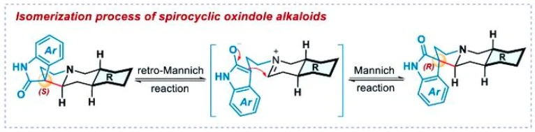 cat's claw extract active compounds cat's claw extract active compounds