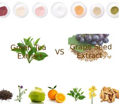 Extracto de té verde versus extracto de semilla de uva: ¿cuál es el verdadero...