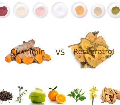Curcumina versus resveratrol: ¿Qué polifenol ofrece mayor valor funcional?