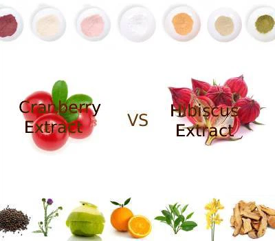 Extracto de arándano versus extracto de hibisco: ¿cuál protege mejor la salud...