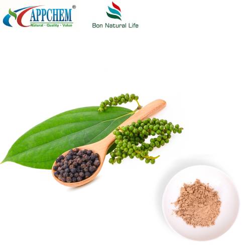 Polvo de extracto de fruta de Ligustrum