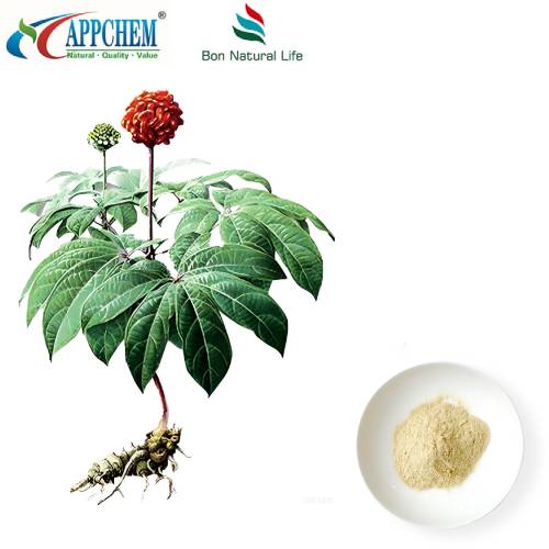Extracto de Notoginseng Radix y Rhizoma