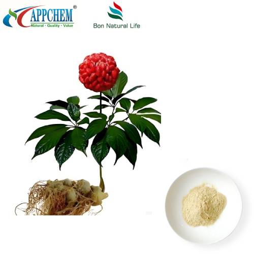 Extracto de raíz de notoginseng