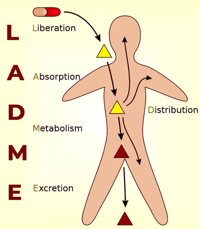 product-674-772 product-674-772