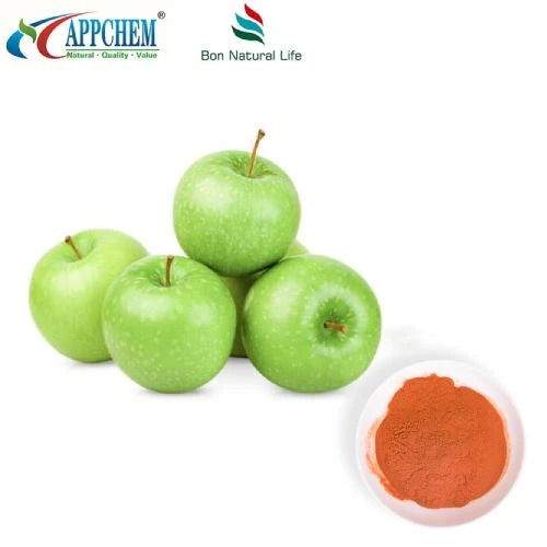 Polvo puro de extracto de manzana