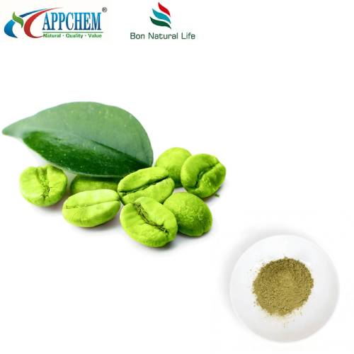 Polvo de grano de café verde puro