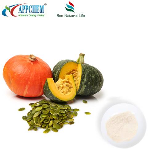 Proteína pura de calabaza en polvo