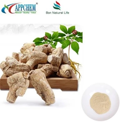 Polvo de extracto de ginseng americano