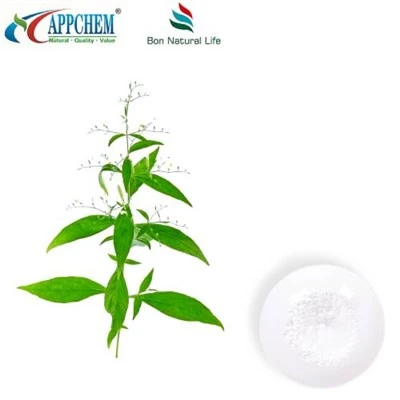 Extracto de Andrographis Paniculata Andrographolide