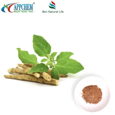 Ashwagandha Extract Powder (Withanolides) Fabricación 30655-48-2
