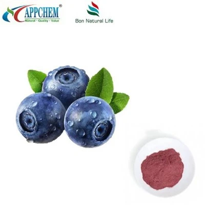 Polvo de jugo de arándano