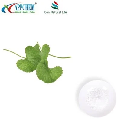 Polvo de extracto de centella asiática