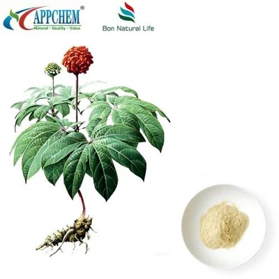 Extracto de Notoginseng Radix y Rhizoma