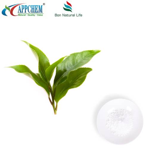 Té de vid. dihidromiricetina